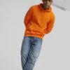 Puma Essentials - Jersey Con Capucha - Cayenne Pepper