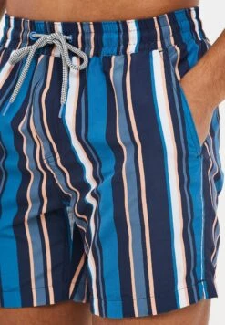 Threadbare Thbbonito - Bañador - Navy -Jack & Jones Ventas 33cec13642d34d3db187b53cb0d7ee1d