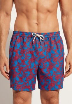 Calzedonia Formentera - Bañador - Blau Orange Coral