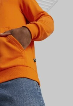 Puma Essentials - Jersey Con Capucha - Cayenne Pepper -Jack & Jones Ventas 63ca4ee9244c4875a00c987cdec50075