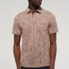 WE FASHION Van Gils - Polo - Brown