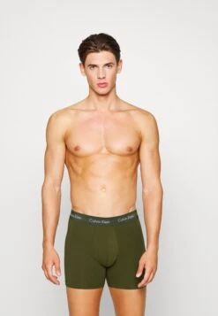 Brief 3 Pack - Culotte - Faded Greysamba/Evergreen Forest