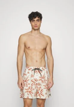 Oakley Deco Palms Rc Beachshort - Bañador - Mehrfarbig