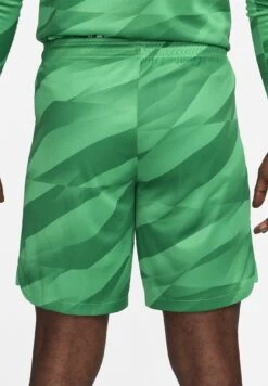 Nike Performance Dri-Fit Football F.C. Barcelona - Pantalón Corto De Deporte - Stadium Green Malachite White -Jack & Jones Ventas a066681ac5c34efb8764ed7f6aa384c7