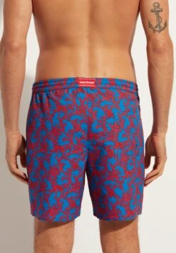 Calzedonia Formentera - Bañador - Blau Orange Coral 7 Calzedonia Formentera - Bañador - Blau Orange Coral -Jack & Jones Ventas b0259e5b0d1c4bdd826d76a95fad9478