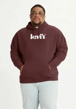 Levi's® Plus Relaxed Graphic Poster - Jersey Con Capucha - Neutrals