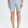 DeFacto Slim Fit- Shorts - Blue