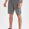 DeFacto Slim Fit - Shorts - Grey