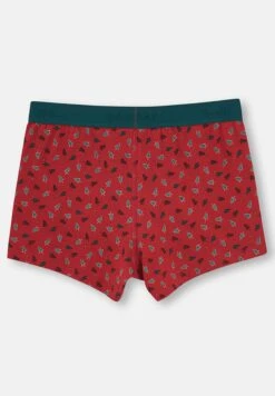 3 Pack - Culotte - Green 10 3 Pack - Culotte - Green -Jack & Jones Ventas c4846ebe789d4a9daa72b93465a30e6a