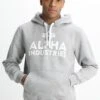 Alpha Industries Foam Print - Jersey Con Capucha - Grey Heather