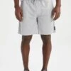DeFacto Regular Fit - Pantalones Deportivos - Grey