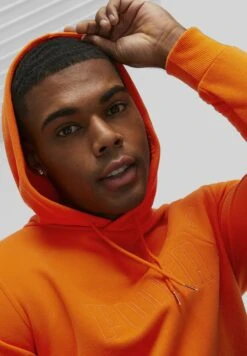 Puma Essentials - Jersey Con Capucha - Cayenne Pepper -Jack & Jones Ventas db400eb3a0a7400abcc269a773e3ee78