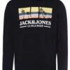 Jack & Jones Jormalibu - Jersey Con Capucha - Marine